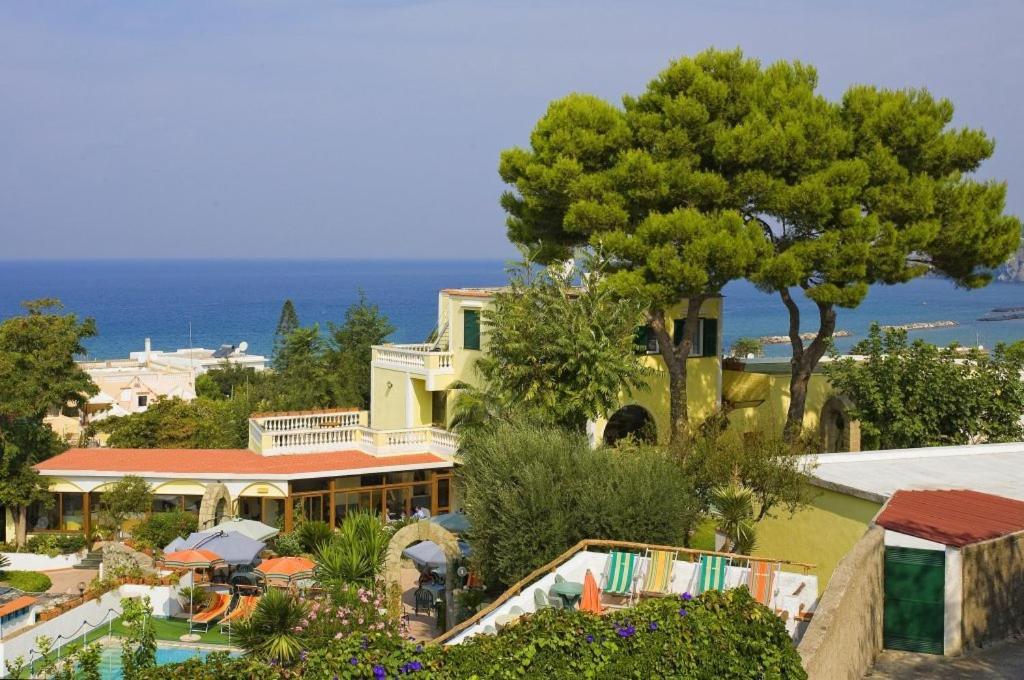 Albergo Villa Hibiscus Forio di Ischia Buitenkant foto