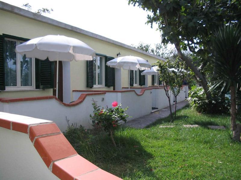 Albergo Villa Hibiscus Forio di Ischia Buitenkant foto